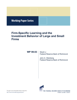 Firm-Specific Learning and the Investment Behavior of Large and