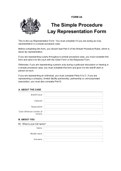 FORM 2A Lay Representation Form