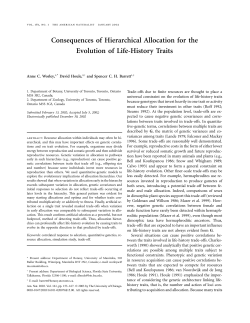 Consequences of Hierarchical Allocation for the