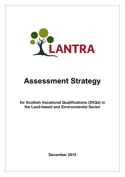 Assessment Strategy
