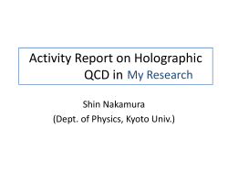 Activity Report on Holographic QCD in E01