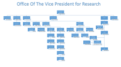 Office Of The Vice President for Research Vice President For