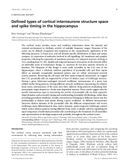 Defined types of cortical interneurone structure space and spike