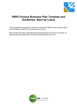 SWIG Finance Business Plan Template and Guidelines