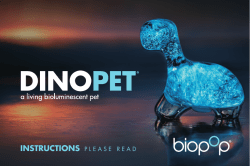Dino Pet Manual