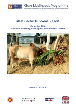Meat Sector Outcome Report December 2014