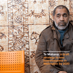 Te Mahana - Draft Strategy - Institute for Governance and Policy