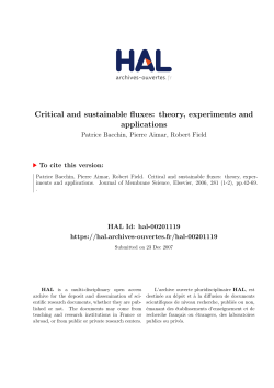 Critical and sustainable fluxes: theory, experiments and - HAL-UPS