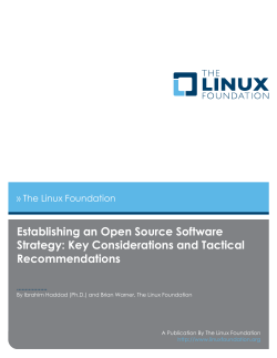 Establishing an Open Source Software Strategy: Key Considerations