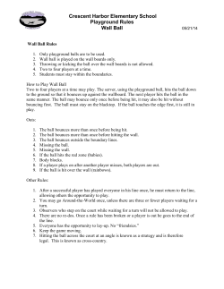 Crescent Harbor Elementary School Playground Rules Wall Ball