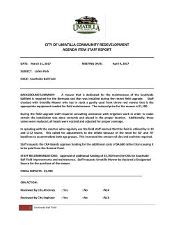 city of umatilla community redevelopment agenda item staff report