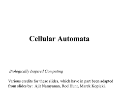 Cellular Automata