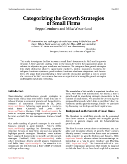 Categorizing the Growth Strategies of Small Firms