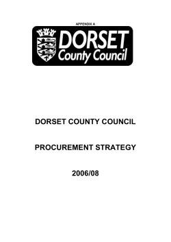 procurement strategy &ndash; draft