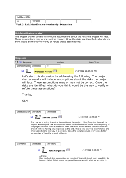 Risk Identification (continued) - Discussion