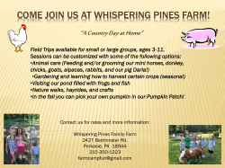Come join us at whispering pines farm! - Perkasie