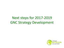 14_Next-steps-for-GNC-Strategy-Development-and-wrap