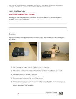 03_All Extend Investigation Options