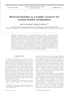 Bacterial biofilms as a trophic resource for certain