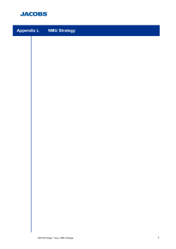 Appendix L NMU Strategy