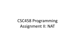 CSC458 Programming Assignment II: NAT