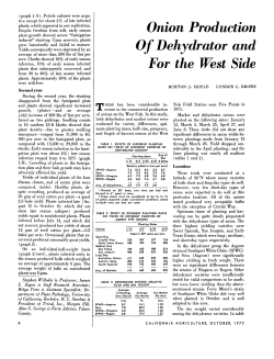 Onion Production Comparisons Of Dehydrator and Market Types For