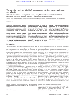 The integrin coactivator Kindlin-2 plays a critical role