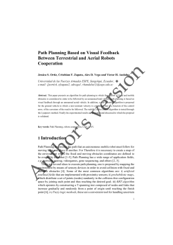 Path Planning Based on Visual Feedback Between Terrestrial and