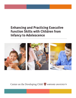 Enhancing and Practicing Executive Function Skills with Children