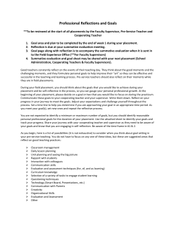 Professional Reflections and Goals