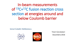 Stefanescu_Ionut_-_Tineri_Cercetatori_2016 - IFIN-HH