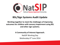 BSL/Sign Systems Audit