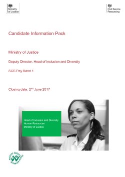 Deputy Director- Head of D and I candidate pack