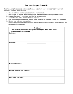 Carpet Fraction Cover Up