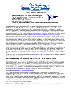 Introduction to the Sea Turtle Spo Sea Turtle Spotting: The Best Free