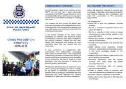 Crime Prevention Strategy