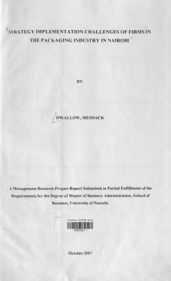 Strategy Implementation Challenges Of Firms In