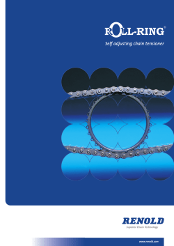 ERIKS - Renold Ketting roll ring