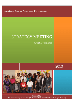 strategy meeting - SOS