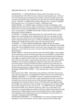 marina-scott-critique-hounds-and