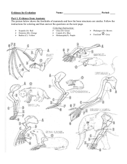 Evidence for Evolution