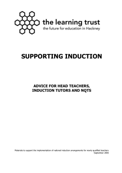 supporting induction