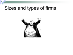Topic 3.1.1 Sizes and types of firms student version