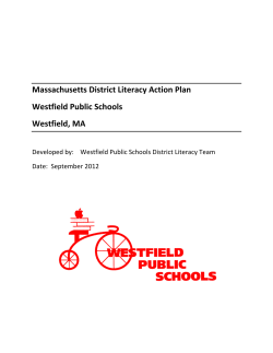 WPS District Literacy Action Plan 2017
