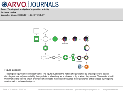 Slide - Journal of Vision
