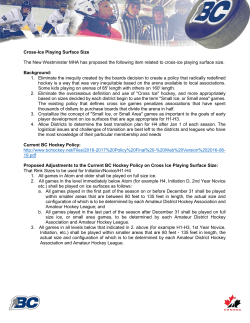 Cross-Ice Playing Surface Size