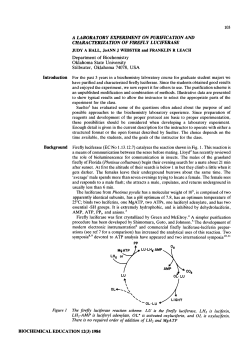 A laboratory experiment on purification and characterization of firefly