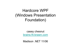 Hardcore WPF - brains-N