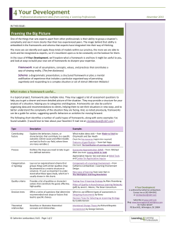 Framing the Big Picture - Learning 4 Learning Professionals