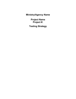 Testing Strategy